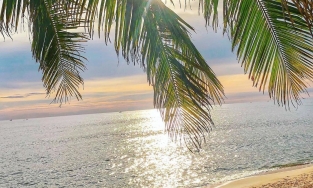 Xê dịch tiết kiệm cuối năm 2020: Đây là 5 điểm đến nhiều combo du lịch rẻ