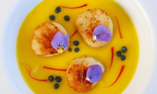 'Dược liệu hạnh phúc' cho sức khỏe: phòng ngừa ung thư và giá trị lên đến trăm triệu đồng/kg