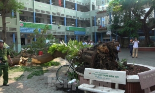 Những vụ tai nạn trường học thương tâm từ cuối năm 2019 đến nay