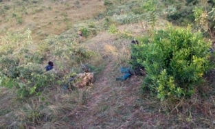 Đông Phi: Hơn 200 tù nhân đã khỏa thân để vượt ngục