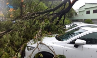 Bão số 5 khiến 1 người tử vong, 23 người bị thương nặng