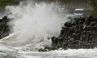 Nhật tìm thấy thi thể thực tập sinh người Việt mất tích trong bão Haishen