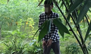 Bình Định: Bắt giữ thanh niên 21 tuổi giở trò đồi bại với bé gái 8 tuổi 