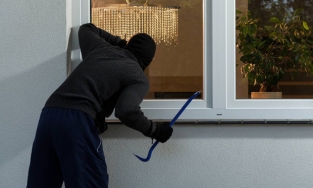 TP.HCM: Thả chó cái vào 'quyến rũ' chó nhà rồi trộm hơn 700 triệu đồng