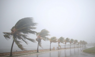 Bão số 8 đang ở giai đoạn mạnh nhất: Mạnh lên cấp 12, giật cấp 15 