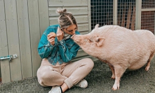 Blogger nổi tiếng ở Anh sống cùng lợn cưng 80 kg