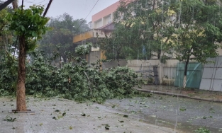 Bão số 9 vượt sức hủy diệt của bão Damrey 2017 và bão Xangsane 2006