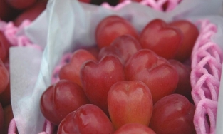 Hơn 2 triệu đồng 1kg nho lạ tại TP.HCM