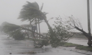 Bão số 9 vừa tan, xuất hiện áp thấp nhiệt đới có khả năng thành bão số 10