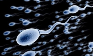 Đàn ông ngày càng ít tinh trùng