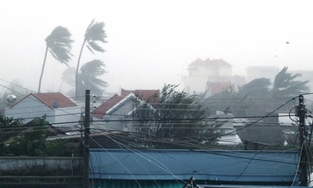 Cơn bão số 12 đang càn quét đất liền, mưa lớn đến 12/11