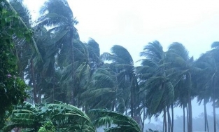 Đầu giờ chiều nay (15/11), bão số 13 đã đi vào khu vực Quảng Bình, Nam Hà Tĩnh