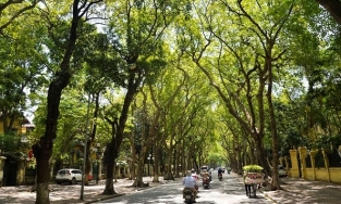 Thời tiết ngày 19/11: Nắng ấm, thích hợp đi du lịch miền Bắc