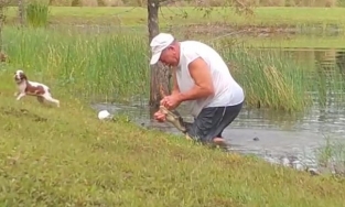 Cụ ông vật lộn bẻ miệng cá sấu bằng tay không để giải cứu chó cưng