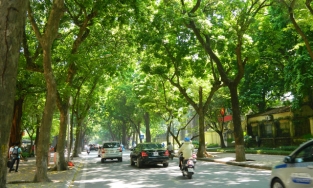 Thời tiết ngày 29/11: Hà Nội đón đợt rét đầu tiên, trời nắng buốt