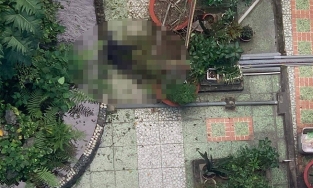 Nam thanh niên rơi lầu trong Trường Đại học Ngoại ngữ - Tin học TP.HCM 