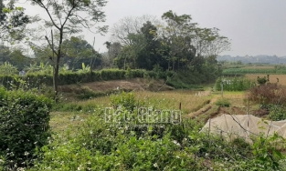 Đôi nam nữ tử vong trong chòi cá chưa rõ nguyên nhân 