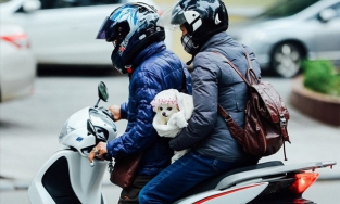 Miền Bắc chuẩn bị đón đợt rét đậm rét hại mạnh nhất mùa Đông 2020