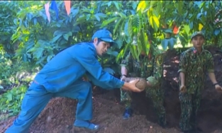 Đắk Lắk: Gom đến 180 đạn pháo 105 ly trong rẫy cà phê 