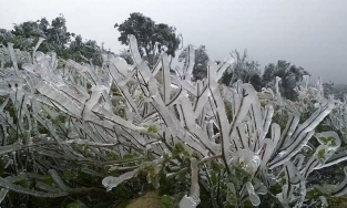 Không khí lạnh kết hợp với mưa khiến băng giá phủ trắng đỉnh Yên Tử