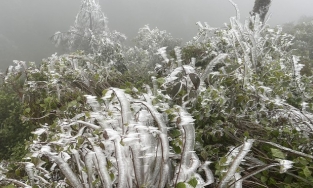 Thời tiết ngày 12/1: Hà Nội nhiệt độ tăng, trưa chiều giảm mây trời có nắng