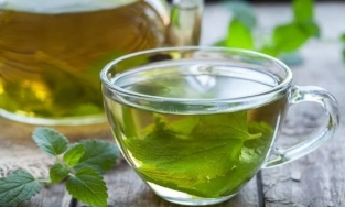 Uống nước tía tô trước khi tiêm vaccine có nên hay không?