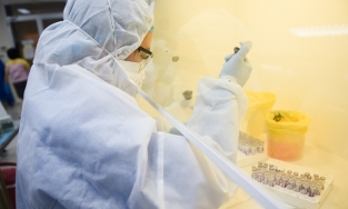 Giải trình tự gene của bệnh nhân 1552 và 1553 để xác định có nhiễm biến chủng mới hay không