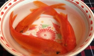 Cúng ông Công ông Táo cần mấy con cá chép mới đúng?