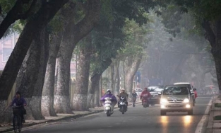 Thời tiết 2/2: Bắc Bộ sáng sớm trời nhiều sương mù, vài nơi có mưa