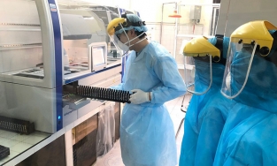 Chủng virus SARS-CoV-2 vừa phát hiện ở Hải Phòng có khả năng lây nhiễm rất nhanh