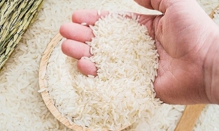 Giá gạo xuất khẩu bất ngờ bật tăng