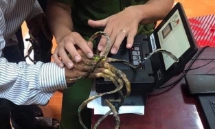 Xôn xao hình ảnh người đàn ông mang bộ móng tay siêu dài đi làm CCCD