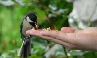 Điều phải kiêng kị trong ngày đầu tháng 5 Âm lịch để cả tháng may mắn