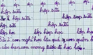 Làm bài tập miêu tả bạn cùng lớp, học sinh chỉ viết 1 câu mà bất cứ ai đọc cũng bất ngờ