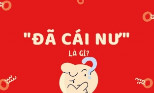 Đã cái nư là gì?