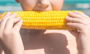 Bắp ngô bao nhiêu calo? Ăn nhiều bắp có tốt không?