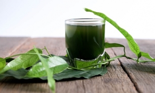 Diệp lục Collagen có tốt không?