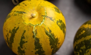 Dưa bở bao nhiêu calo? Ăn dưa bở béo không?