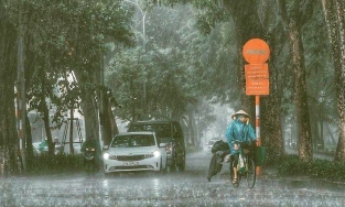 Bão số 7 cách đảo Bạch Long Vĩ 100km, bão số 8 vào Biển Đông đêm mai