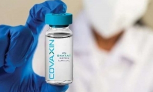 Vaccine Covaxin của nước nào sản xuất và hiệu quả ra sao?