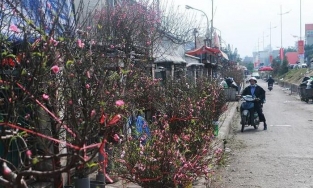 Thời tiết dịp Tết Dương lịch 2022 cho các vùng trên cả nước