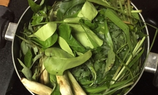 Bác sĩ chỉ ra loại những lá xông nên dùng khi là F0