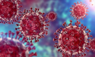 Những biểu hiện lạ của Omicron so với các biến thể khác: Không mất khứu giác mà đau lưng, đổ mồ hôi 