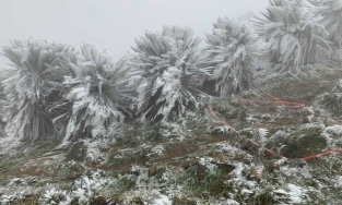 Khu vực miền Bắc chìm trong rét hại, Mẫu Sơn băng giá dày đặc