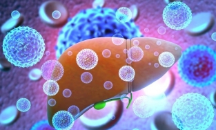 TS Nguyễn Thu Anh nhận định khả năng bệnh viêm gan bí ẩn vào Việt Nam là rất cao