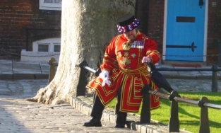 'Nữ hoàng' quạ tại London đột nhiên mất tích