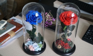 Hoa hồng xanh giá từ 2 đến gần 4 triệu cháy hàng dịp lễ Valentine 