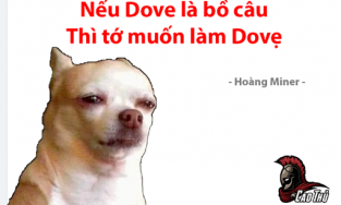 Dovẹ là gì? Giải mã câu thả thính cực hiểm phủ kín mạng xã hội mấy ngày qua