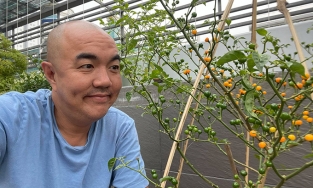 Loại ớt đắt nhất thế giới có gì đặc biệt mà khiến các sao Việt 'mê mẩn'