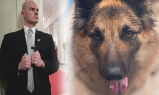 Tổng thống Biden 'tiễn' hai chú chó cưng về quê vì 'xực' mật vụ Nhà Trắng